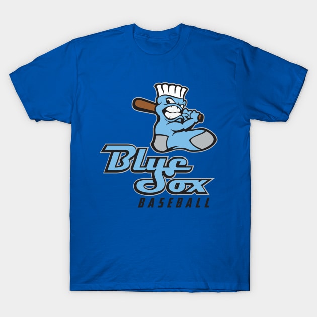 Blue Sox Baseball T-Shirt by DavesTees